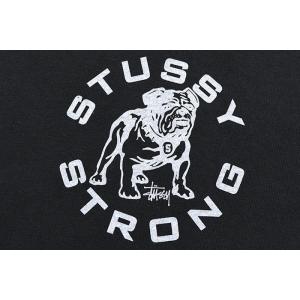 ステューシー Tシャツ 半袖 STUSSY メ...の詳細画像5
