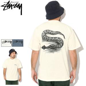 ステューシー Tシャツ 半袖 STUSSY メンズ Serpent Pigment Dyed ( stussy tシャツ tee ピグメント カットソー トップス 1905126 USAモデル 正規 )[M便 1/1]
