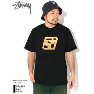 ステューシー Tシャツ 半袖 STUSSY メ...の詳細画像1