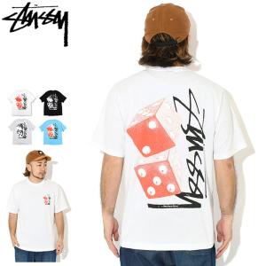 STUSSY（ステューシー） Tシャツ 半袖 メンズ Serpent Pigment Dyed