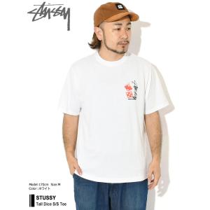 ステューシー Tシャツ 半袖 STUSSY メ...の詳細画像1