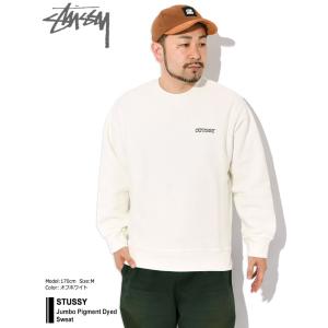 ステューシー トレーナー STUSSY メンズ...の詳細画像1
