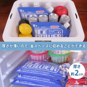 アイスパワー(ICEPOWER) Mサイズ 2...の詳細画像2