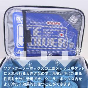 アイスパワー(ICEPOWER) Mサイズ 2...の詳細画像3