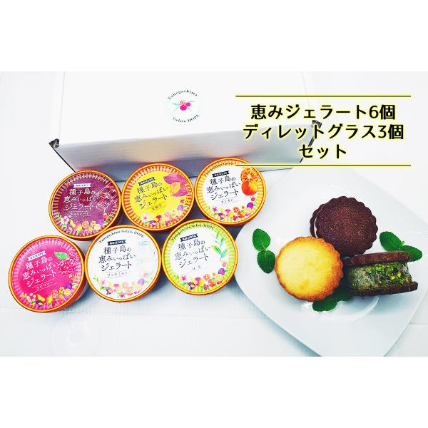 種子島の恵みジェラート6個 ディレットグラス３個セット ジェラート　アイス B-HP9