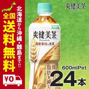 爽健美茶 健康素材の麦茶 PET 600ML　24本セット