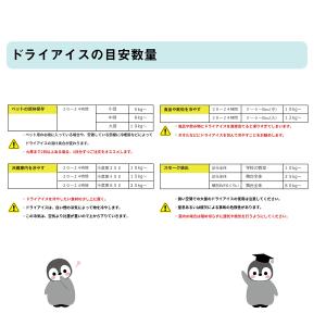 ドライアイス 3キロ DI-3 夏の自由研究・...の詳細画像2