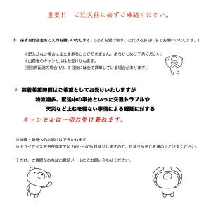 ドライアイス 3キロ DI-3 夏の自由研究・...の詳細画像3