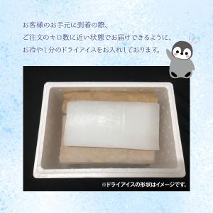ドライアイス 3キロ DI-3 夏の自由研究・...の詳細画像5