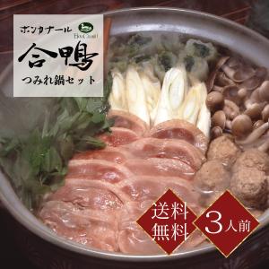 合鴨つみれ鍋セット 3人前 鴨鍋  鴨肉 つみれ 鴨だし　送料無料　ボンカナール　熨斗対応　OKN-OF40｜iceselection