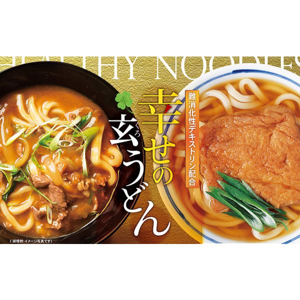 幸せのカレー＆きつねうどんお楽しみパック(6人前)　UG-HAP