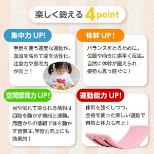バランスボード プラスチック 体幹 トレーニン...の詳細画像2
