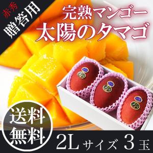 2026 太陽のタマゴ 大玉2L3玉 赤秀品 宮崎県産 完熟マンゴー 母の日