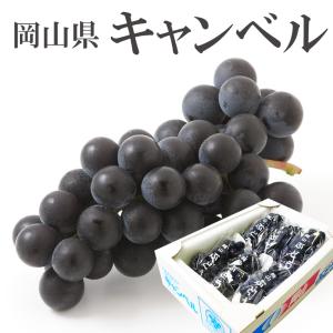 完熟 マンゴー Lサイズ6玉（約2kg） 秀品 宮崎県産 母の日 父の日