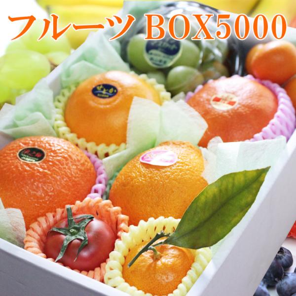 フルーツBOX5000 季節フルーツ 詰め合わせ （画像送信サービス付き） 贈答用 ギフト プレゼン...