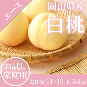 2023 岡山 白桃 家庭用 大きさお任せ11〜18玉入り 約3.5kg エース等級 桃 ギフト 夏ギフト 訳あり 品種指定不可｜ichiba-koubou