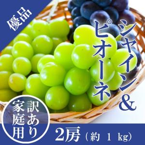 \ ちょっと訳あり / 2房 (500g×2) 優品 岡山県...