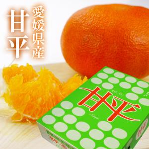 みかん 甘平 （ かんぺい ） 青秀 3Lサイズ以上 4.5kg 贈答用 愛媛県