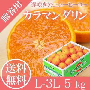 みかん カラマンダリン 赤秀品 L〜3Lサイズ 5kg JAえひめ中央 中島産 愛媛県 ギフト 母の日 プレゼント 御礼 御祝 フルーツ 4月中旬頃より発送｜ichiba-koubou