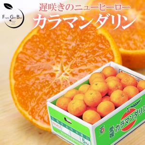 みかん せとみ （ ゆめほっぺ 同品種）4.5kg 秀品大きさおまかせ 山口