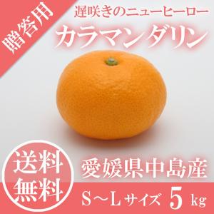 みかん カラマンダリン 赤秀品 S〜Lサイズ 5kg JAえひめ中央 中島産 愛媛県 ギフト 母の日 プレゼント 御礼 御祝 フルーツ｜岡山市場工房