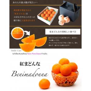 2025 お歳暮 ギフト 紅まどんな 1.3k...の詳細画像3