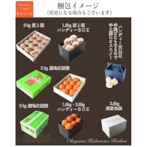 2025 お歳暮 ギフト 紅まどんな 1.3k...の詳細画像4