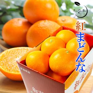 愛まどんな2.5kg・贈答用（8~15玉入） 送料無料で今マスコミで話題の