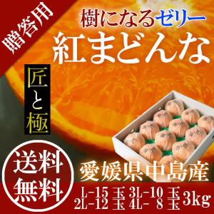 2023 お歳暮 ギフト 紅まどんな 3kg 赤秀 匠と極 L-2L 12-15玉 中島産 みかん ミカン 贈答用 愛媛県産 御歳暮 紅マドンナ フルーツ