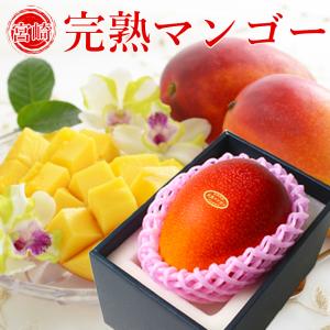 ＼一足お先に初入荷！すぐ発送 数量限定／ 完熟 マンゴー 2L１玉 秀品 宮崎県産 贈答用 ギフト プレゼント 御祝 御礼 誕生日 果物 くだもの フルーツ｜ichiba-koubou