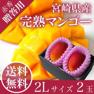 完熟 マンゴー ２L２玉 赤秀品 宮崎県産 贈答用 ギフト 母の日 父の日 御中元 プレゼント 御祝 御礼 内祝 誕生日 果物 くだもの フルーツ ４月中旬頃発送｜ichiba-koubou