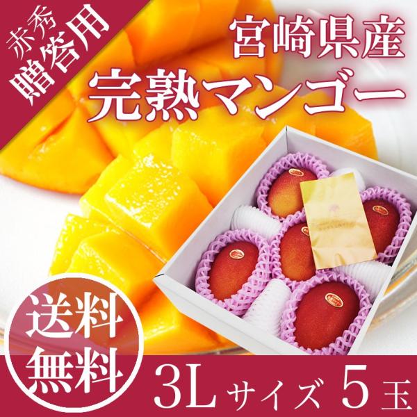 完熟 マンゴー ３L５玉 赤秀品 宮崎県産 贈答用 ギフト 母の日 父の日 御中元 プレゼント 御祝...