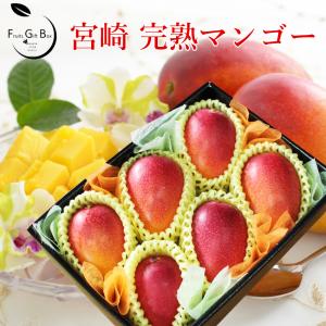 完熟 ミニマンゴー Mサイズ6玉（約1.5kg） 秀品 宮崎県産 母の日 父の