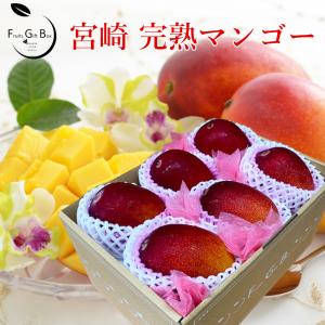 完熟 ミニマンゴー Mサイズ6玉（約1.5kg） 秀品 宮崎県産 母の日 父の日 お中元 贈答用 ギフト プレゼント 御祝 御礼 内祝 誕生日 果物 くだもの フルーツ｜ichiba-koubou