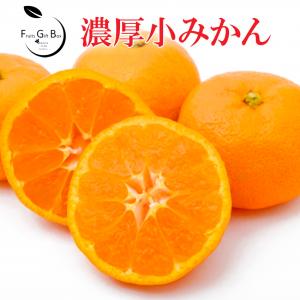 ギフト 店長おススメ！厳選甘々 小みかん ２S-Lサイズ 1.5kg 贈答用 御歳暮 ギフト みかん ミカン 蜜柑 プレゼント 御礼 御祝 御供 果物 フルーツ｜ichiba-koubou