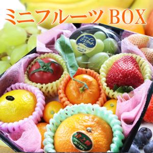 ギフト用 メロン、マンゴー、びわ ギフト用 メロン、マンゴー、びわ