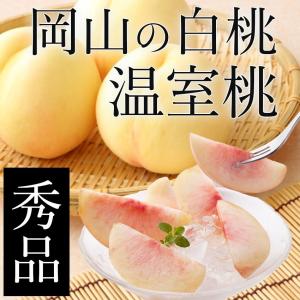 岡山 白桃 温室桃 約1.3kg 贈答用 秀品 桃 ギフト 父の日 お中元 送料無料 「 岡山市場工房 」｜ichiba-koubou