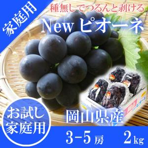 完熟 マンゴー Mサイズ2玉 （約480g以上） 秀品 母の日 父の日