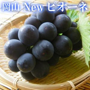 2026 ギフト 岡山県産 ピオーネ 赤秀品 ２房（400g×2房） 贈答用 御中元 敬老の日 葡萄 ぶどう ブドウ プレゼント 御礼 御祝 御供 果物 くだもの フルーツ
