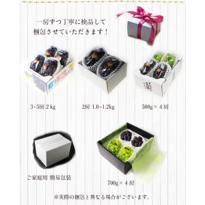 2026 ギフト 岡山県産 ピオーネ 赤秀品 ...の詳細画像1