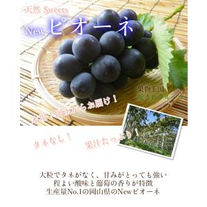 2026 ギフト 岡山県産 ピオーネ 赤秀品 ...の詳細画像2