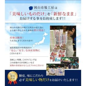 2026 ギフト 岡山県産 ピオーネ 赤秀品 ...の詳細画像5