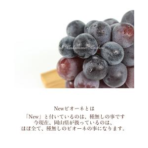 2026 ギフト 岡山県産 ピオーネ 赤秀品 ...の詳細画像2