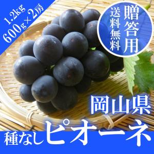 2026 ギフト 岡山県産 ピオーネ 赤秀品 大房２房（600g×2房） 贈答用 御中元 葡萄 ぶどう ブドウ プレゼント 御礼 御祝 御供 果物 くだもの フルーツ