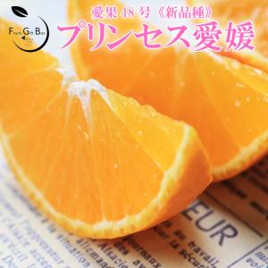 KSPS　小玉まどんな8kg×２箱ぐるりん 楽天市場】愛媛産 ”紅まどんな” 秀品 2L〜4L 8〜12玉 約3kg【予約 12月