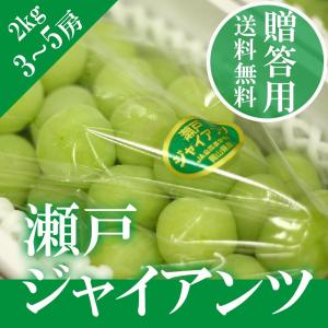訳あり 瀬戸ジャイアンツ 3~5房 約2kg 家庭用 簡易包装 岡山県産