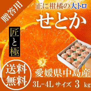 せとか 赤秀 匠と極 3L-4L 約3kg 贈答用 愛媛県 中島産 みかん JAえひめ中央 ミカン ギフト プレゼント 御礼 御祝 御供 果物 くだもの フルーツ