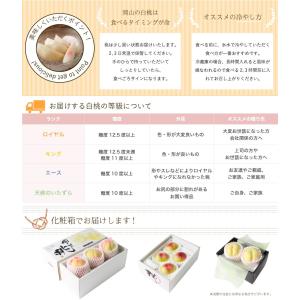 2026 お中元 ギフト 清水白桃 ロイヤル ...の詳細画像4