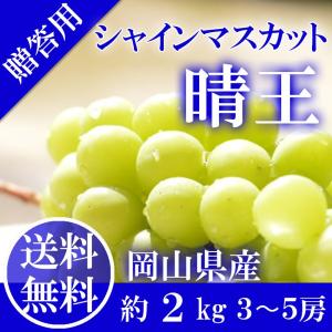 2026 ギフト 岡山県産 シャインマスカット 晴王 青秀品 2kg(3〜5房) 贈答用 御中元 葡萄 ぶどう ブドウ プレゼント 御礼 御祝 御供 果物 フルーツ