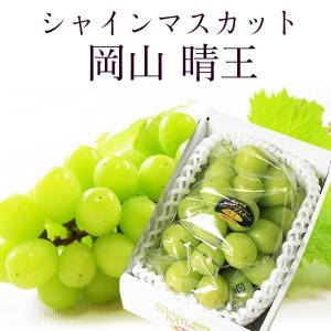 2026 ギフト 岡山県産 シャインマスカット 晴王 赤秀品 1房400g 贈答用 御中元 葡萄 ぶどう ブドウ プレゼント 御礼 御祝 御供 果物 フルーツ